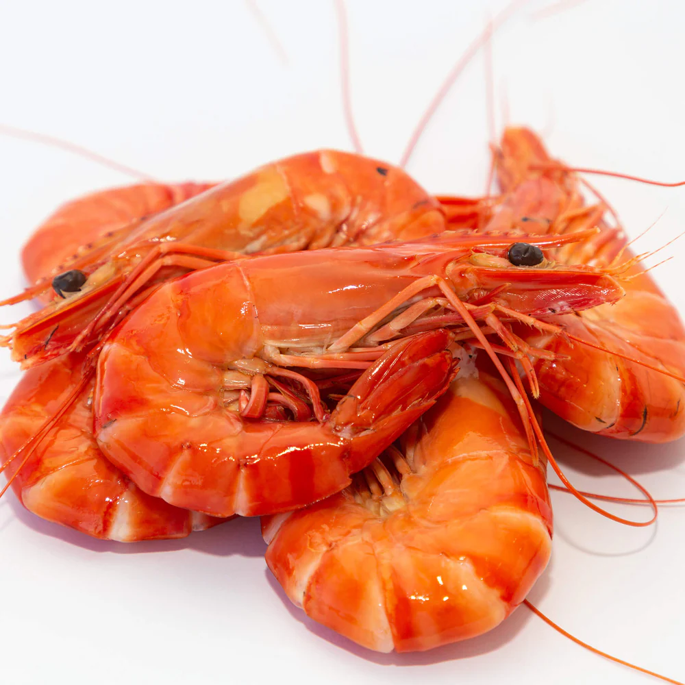 large-cooked-tiger-prawns-1.jpeg