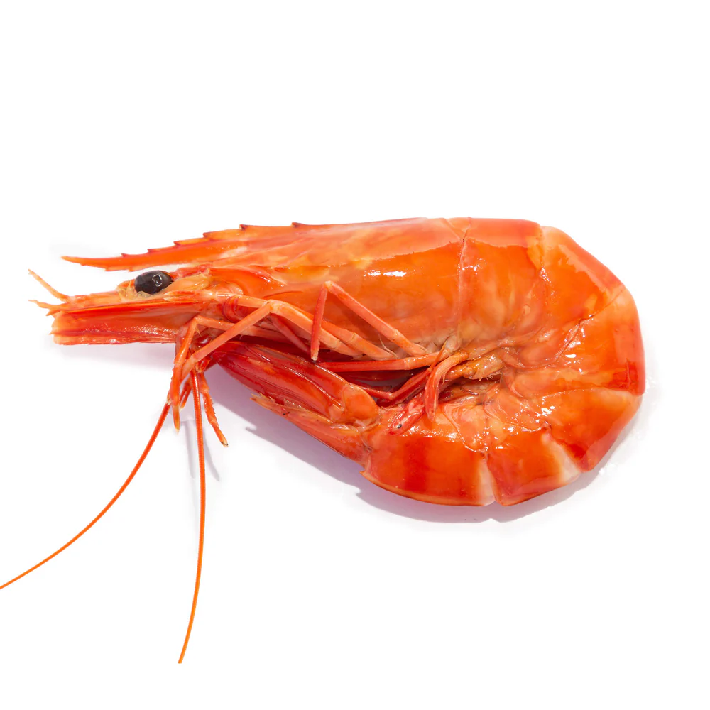 large-cooked-tiger-prawns-2.jpeg