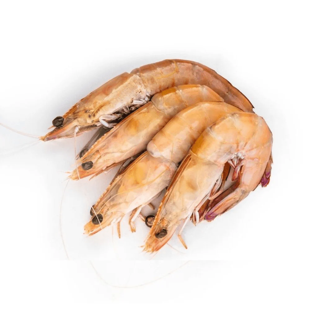 large-green-king-prawns-2.jpeg