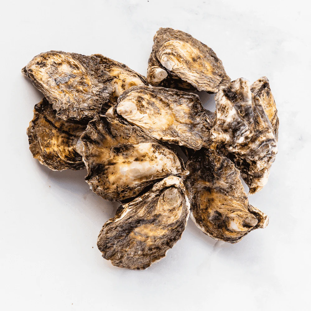 live-sydney-rock-oysters-1.jpeg