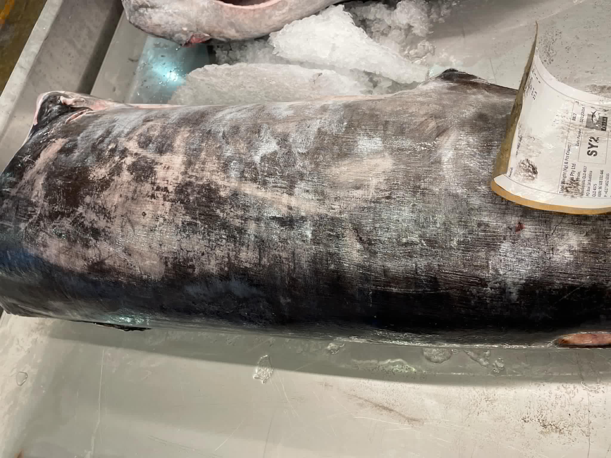 swordfish-1.jpg