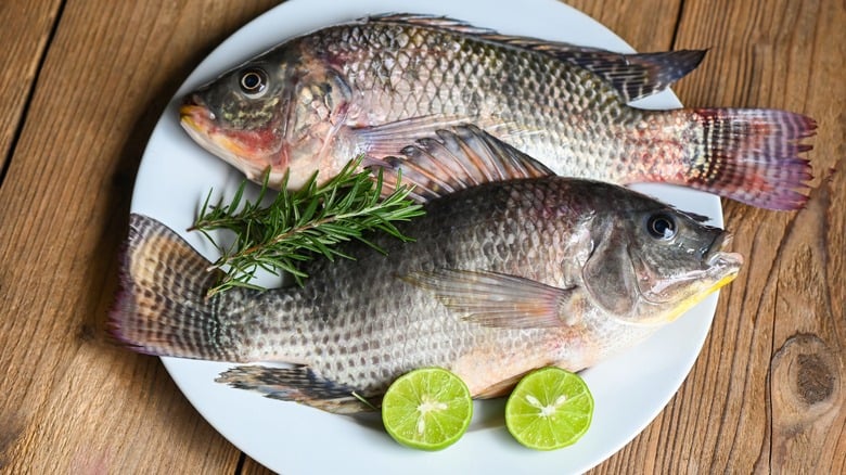 tilapia-1.jpg